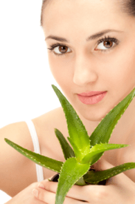 Aloe recipe of the first wrinkles